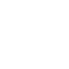 Made in New Zealand