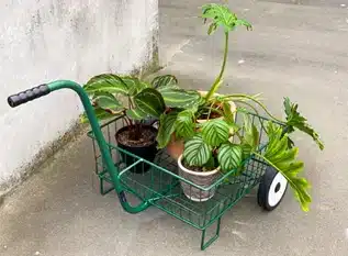 Plant trolleys Plant trolleys