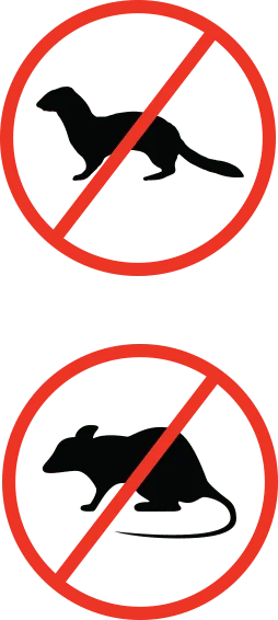 Ferret and rat traps