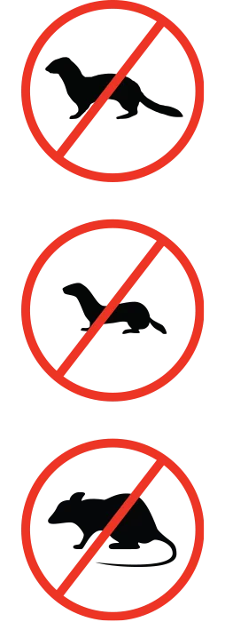 Weasel, stoat and rat traps nz