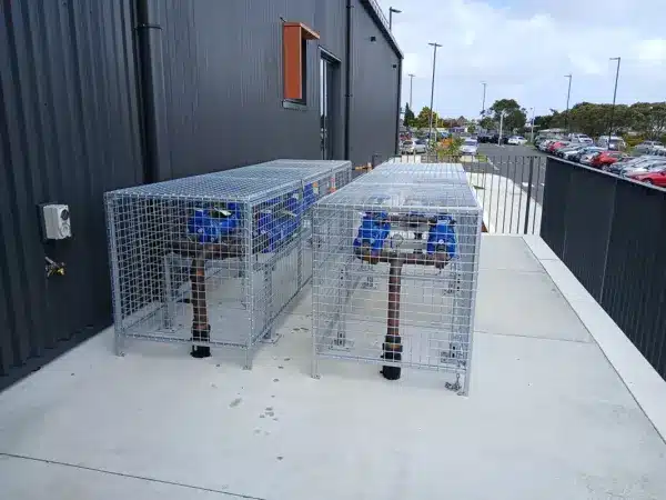Backflow cages